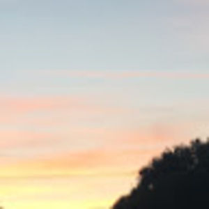 Meet your Posher, Ayla